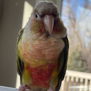 Meet your Posher, Ashlyn